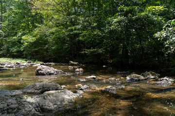 A small stream of water in Arkansas Ozarks.