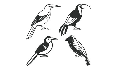 Line art birds collection