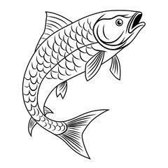 Detailed black and white line drawing of a mahseer fish, perfect for coloring pages, fishing guides, educational materials, or aquatic-themed design projects.