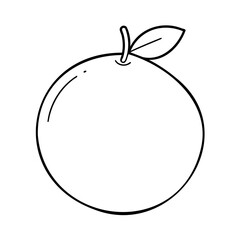 An orange fruit with a leaf stem against a citrus