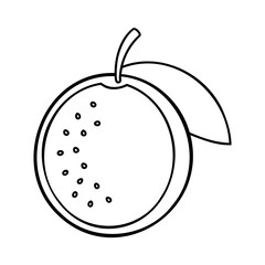 Outline an orange fruit with leaf seeds on a citrus