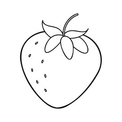 Outline drawing a strawberry fruit with leaves seeds on a vector