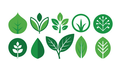 A vibrant vector set of green leaves and eco icons perfect for nature-inspired designs illustrating growth and environmental harmony