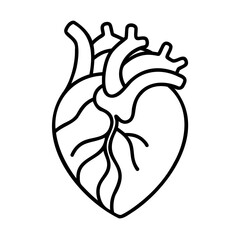 Outline a human heart with arteries veins on anatomy organ