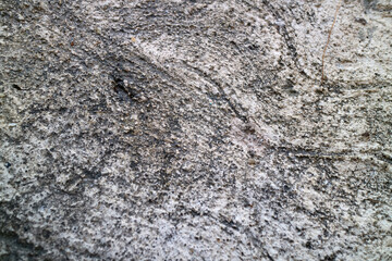 Textured Stone Surface with Natural Patterns