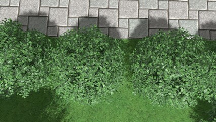 3d image of the landscape design of the home territory. Landscaping of the territory. Computer visualization of composite landscaping and landscaping solutions.
