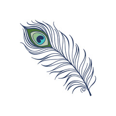 Obraz premium feather vector illustration