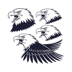 Obraz premium eagle vector illustration