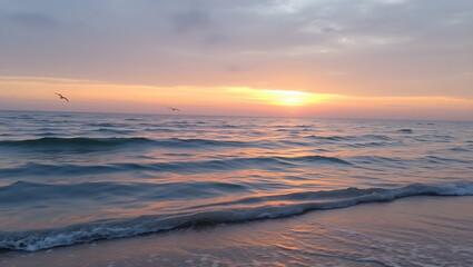 Ocean Calm – Gentle waves and a pink sunset