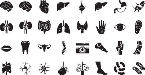 Human Anatomy Organ Icons Set Black Silhouette human body