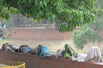 The Environment looks wonderful