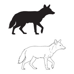 Clearly Defined Aardwolf Visual - Solid Form and Delicate Line Detail - Aardwolf silhouette - Aardwolf lineart - Aardwolf vector - silhouette & lineart of Aardwolf

