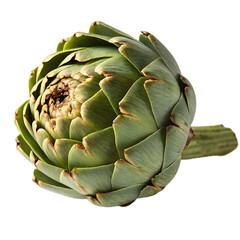 Obraz premium A fresh green globe artichoke vegetable ready for cooking as healthy food isolated on a transparent background png
