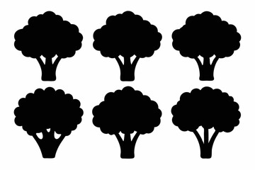 Black Silhouette Broccolini Icons - Vector Collection