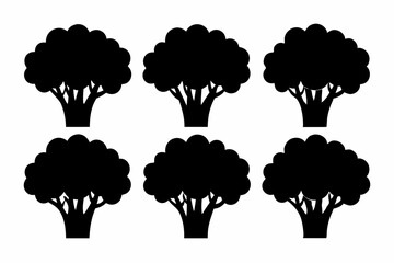 Black Silhouette Broccolini Icons - Vector Collection