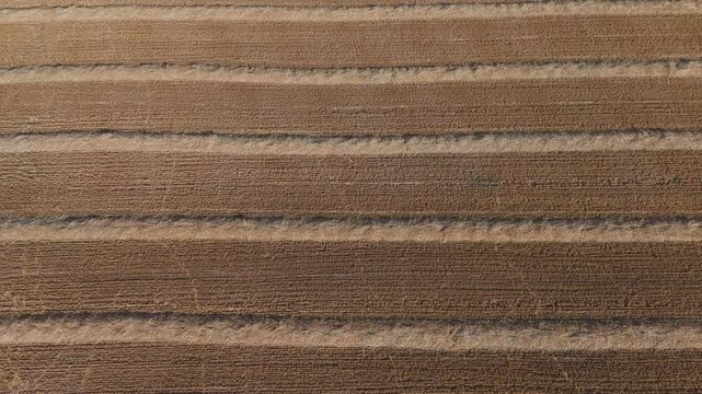 Aerial view of golden, freshly harvested field with parallel lines and a circular patch of green, creating a striking contrast, Sa'ar, North District, Israel.