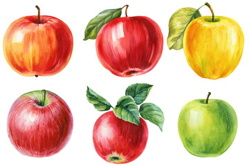 Watercolor apples set with green red yellow fruit and leaves hand painted autumn harvest clipart for food packaging and decor