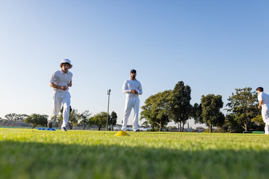 Diverse male teammates practicing fielding drills on cricket ground with marker cones, cricket ball
