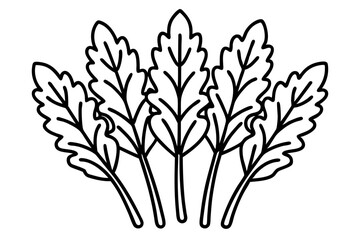 Minimalist Arugula 6 Icon Bundle – One-Line Vector Art