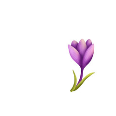 Purple Crocus Flower – Elegant Botanical Clipart Illustration
