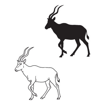Unveiling Rare Beauty - Addax Side View Art - Matching Silhouette and Clean Lineart Presentation - Addax silhouette - Addax lineart - Addax vector - silhouette & lineart of Addax


