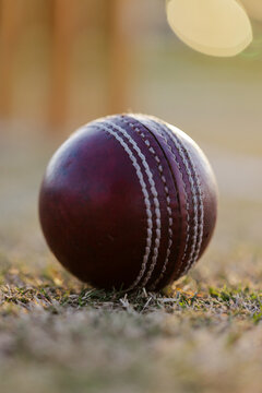 Leather ball with white stitching resting on dry grass at cricket field, under bright sunlight