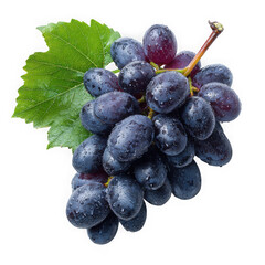 Fresh ripe dark purple grapes with water droplets and green leaf isolated on transparent background