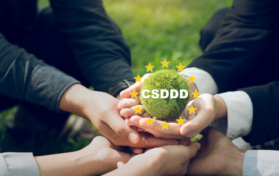 The Corporate Sustainability Due Diligence Directive (CSDDD) concept.