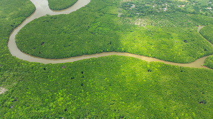 Aerial view a vivid contrast between a dense palm oil plantation and a lush green natural forest....