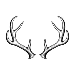 Fotobehang Hipster Dieren Hand drawn deer antlers illustration on a white background  © MDMINTU