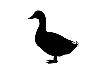 Isolated Black Silhouette of a Duck