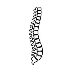 Spine Illustration Human Vertebral Column Anatomy Medical Diagram Back Pain Concept