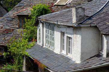 Charming rustic house with weathered slate roof and climbing greenery, typical for rural European architecture. Idyllic countryside vibes and peaceful surroundings.