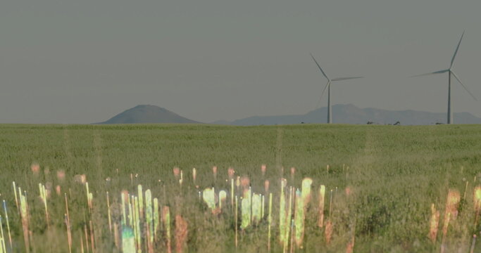 Fototapeta Rising holographic light bars on grassland plain with wind turbines and distant hills, copy space