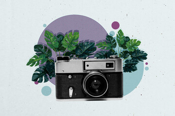 Trend artwork composite 3D photo collage design of retro technology camera cadre photo moment...
