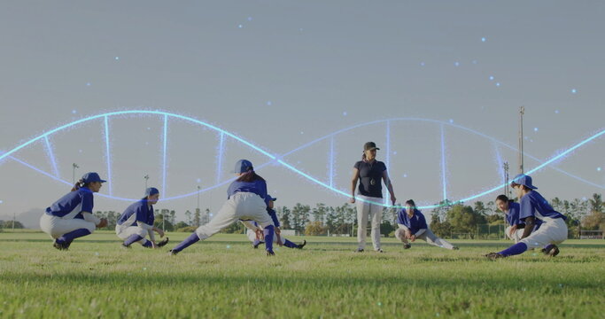 Fototapeta Stretching coach and blue-jersey players lunging on baseball field, with DNA-helix overlay