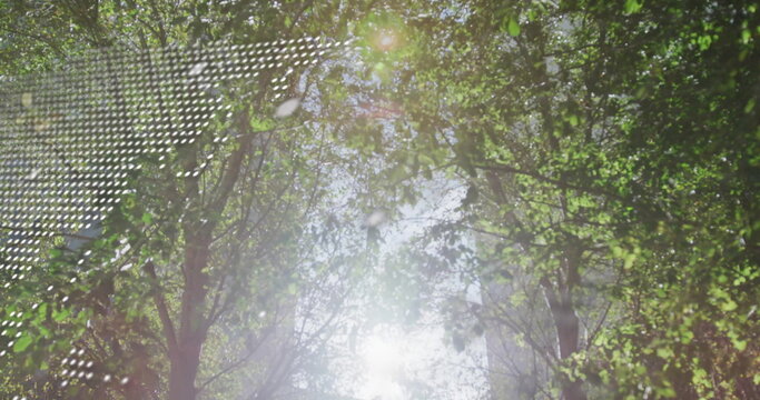 Showing tree canopy filtering bright sun and lens flare in urban park, with metal facade