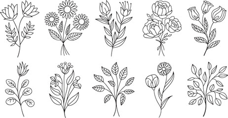 flowers and leaves bundle silhouette line art design illustration premium quality