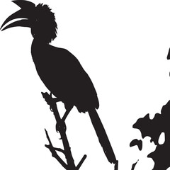 Black silhouette bird, hornbill on branch, wildlife icon, eps vector © Ahmed