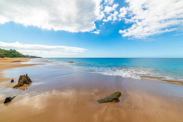 Golden sand and driftwood in a tropical beach