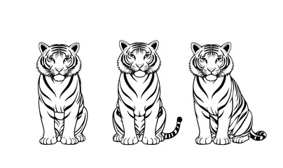 "Vector Outline of Three Sitting Tigers on White Background"