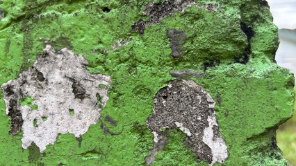 surface of an old cement post in white green faded paint