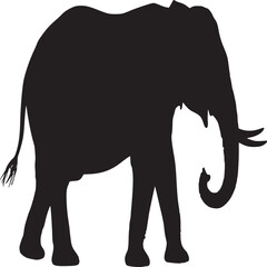 Silhouette of a large elephant with tusks and trunk visible against a white background plain scene