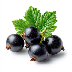 Black currant isolated. Currant black with leaves on white background. Perfect retouched currant berry with leaf. Berries with clipping path. Full depth of field