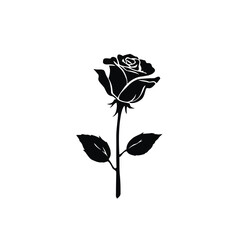 A beautiful single black and white rose isolated on white, with delicate petals and a graceful stem, perfect for themes of love and romance