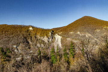 Colorful autumn foliage in the Caucasus mountains. Mountain landscape. Mountain autumn landscape. Autumn day, natural mountain landscape. Autumn view of the mountainous area of the Caucasus.