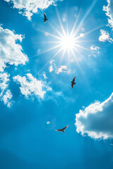 Three birds silhouetted flying in a bright blue sky with white clouds and sun rays. Freedom concept.