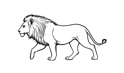 Side View Lion Line Drawing – Walking Wild Animal Black and White Illustration