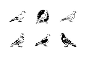 pigeon outline vector art illustration