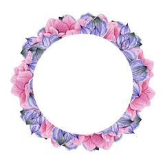 Wreath bouquet of hydrangea. Hand drawn watercolor. Botanical illustration on white background. Wedding flower. Houseplant. Pink purple blooming plant buds. Botany season.